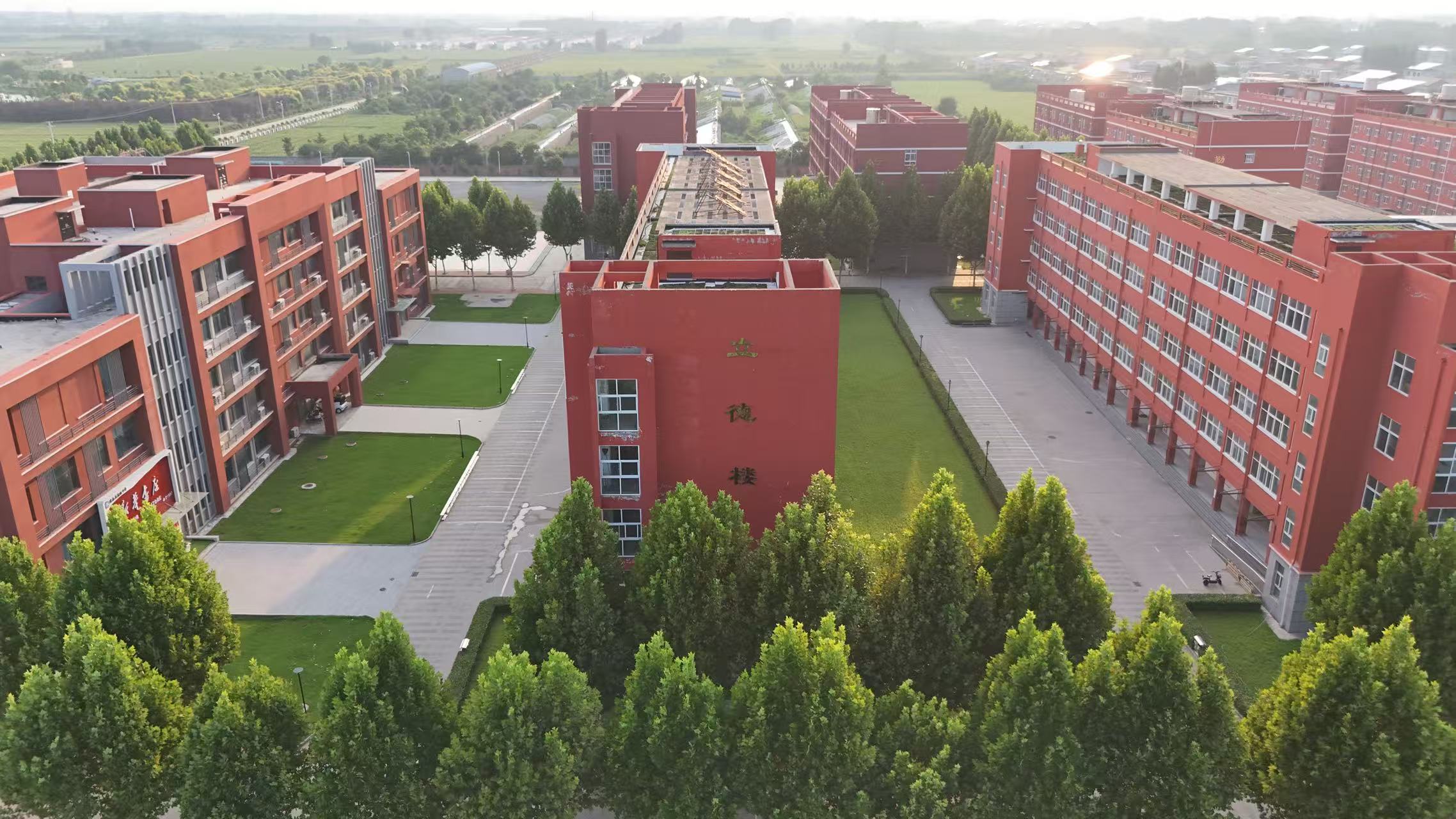 校园教学楼与绿荫