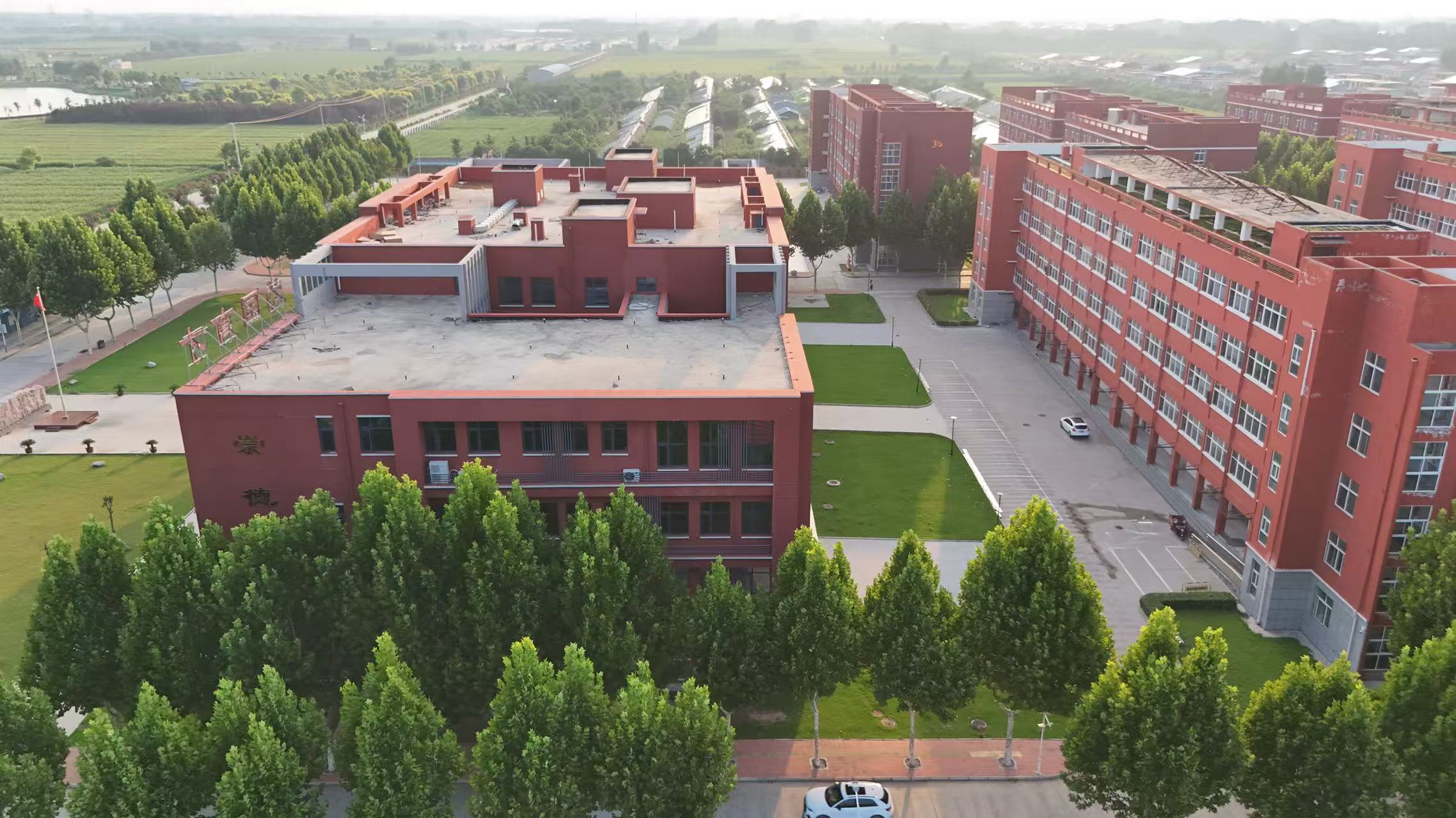 教师指导学生学习